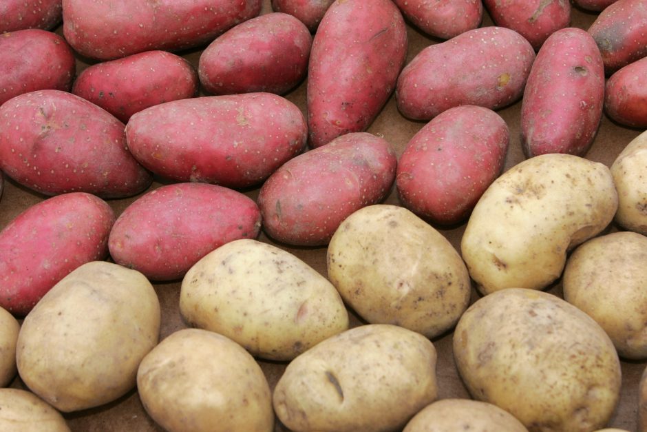 Ginčai dėl bulvių: vaikams geresnė lietuviška ar iš Egipto?