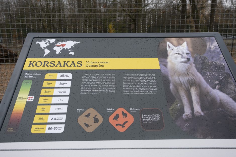 Lietuvos zoologijos sodas – vėl atviras: laukia nauji gyvūnai ir neatpažįstamai pasikeitusios erdvės