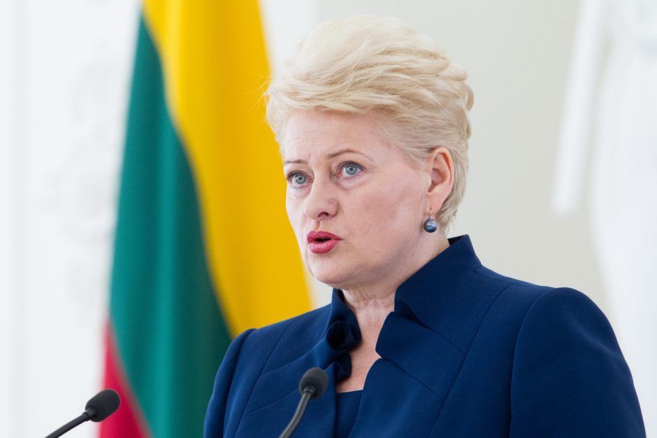 D. Grybauskaitė: Lietuva įrodė, kad gali viena pastatyti SGD terminalą