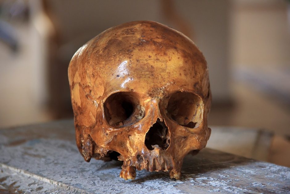 Ką mokslininkai sužino tyrinėdami seniai mirusių žmonių kaulus?